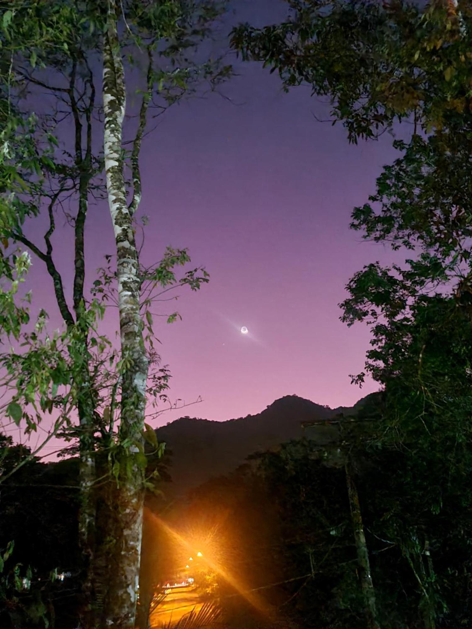 Bosque Das Princesas * Ubatuba