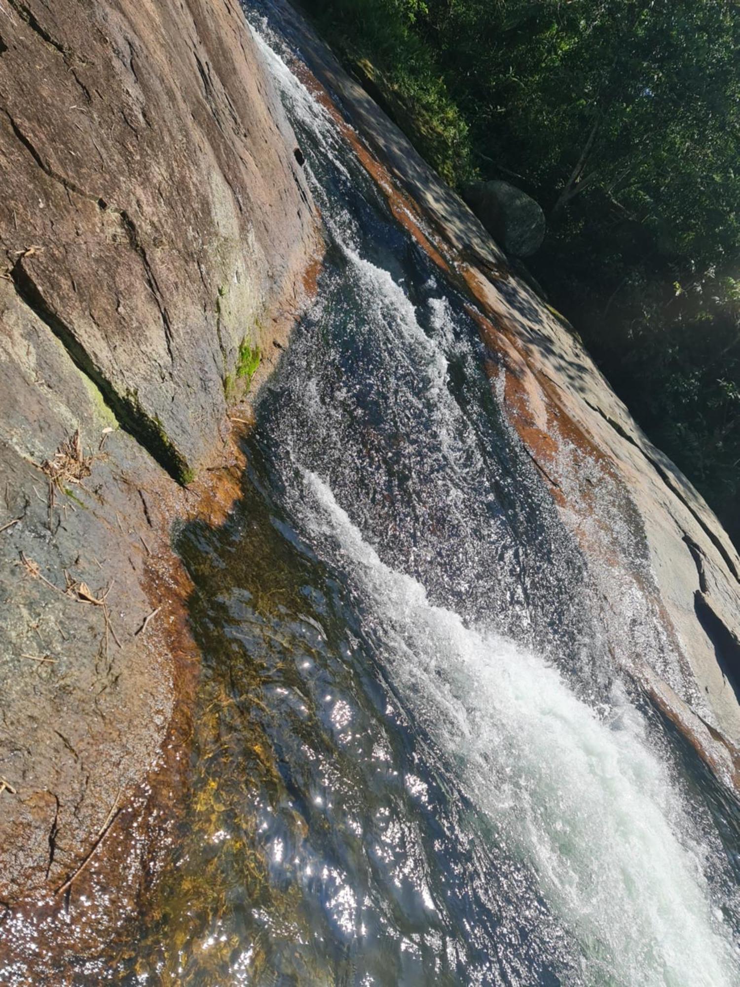 Bosque Das Princesas Albergue Ubatuba